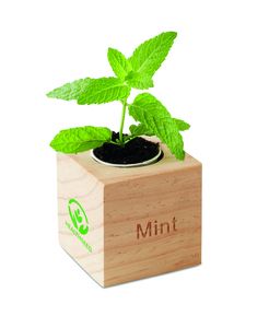 GiftRetail MO9337 - MENTA Urtepotte med mint Wood