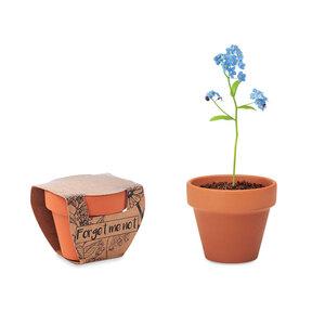GiftRetail MO6146 - FORGET ME NOT Terracotta skål forget me not